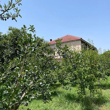 Villa Mance بيرات المظهر الخارجي الصورة
