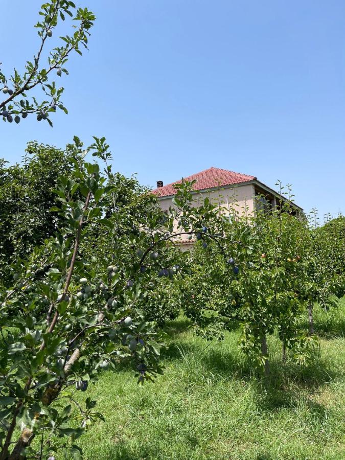 Villa Mance بيرات المظهر الخارجي الصورة