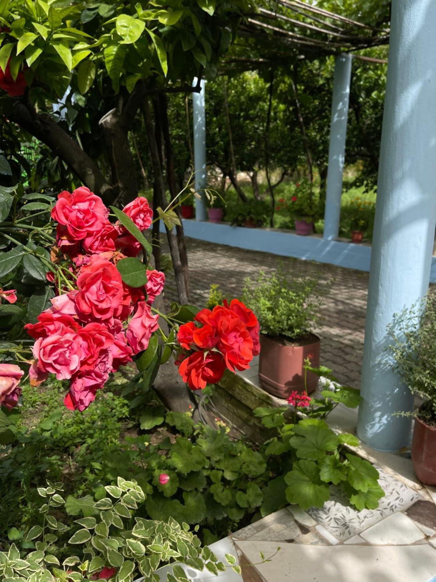 Villa Mance بيرات المظهر الخارجي الصورة