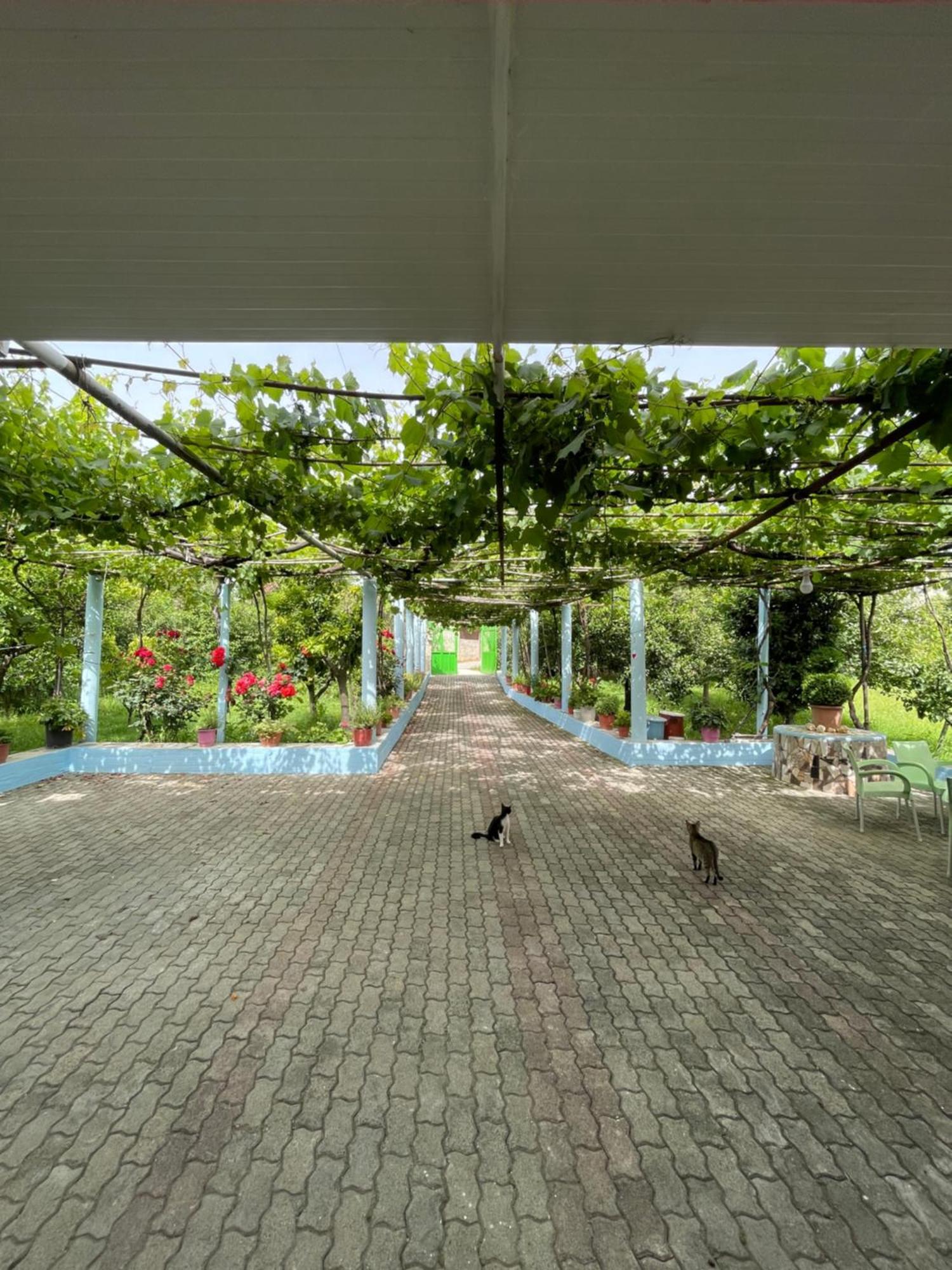 Villa Mance بيرات المظهر الخارجي الصورة